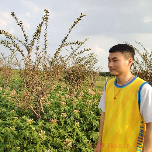 37岁岁广东单身帅哥 - 张家口吉缘网
